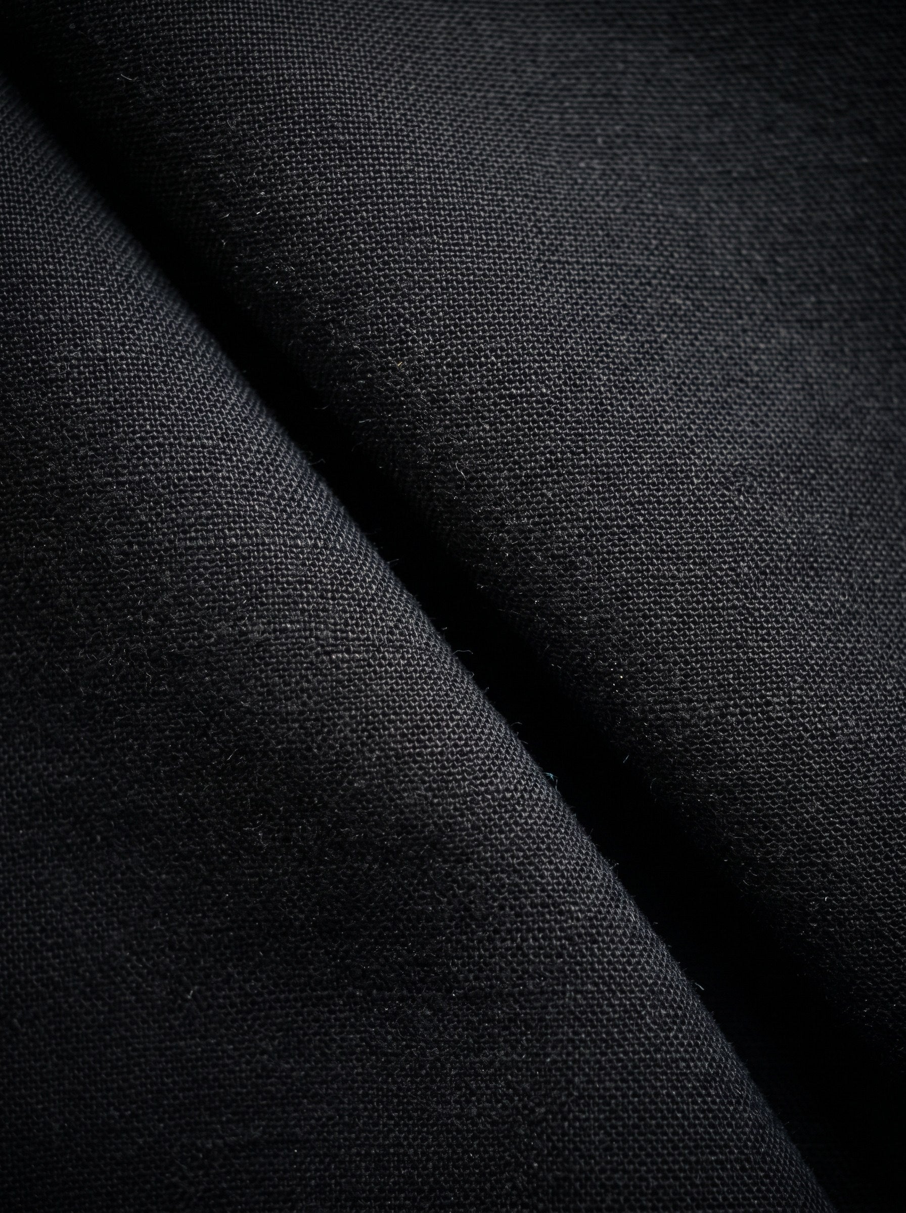 Poplin Pleated Trouser Seam Clothing
